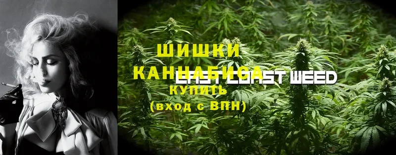 Каннабис Ganja  Бородино 